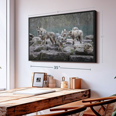 «Gray Wolves Wall Art»