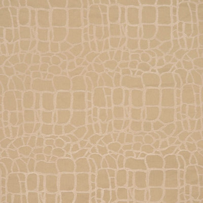 Faits saillants du tissu