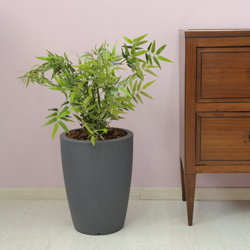 Grieteke Pot Planter, 50cm H x 36cm W x 36cm D, Anthracite