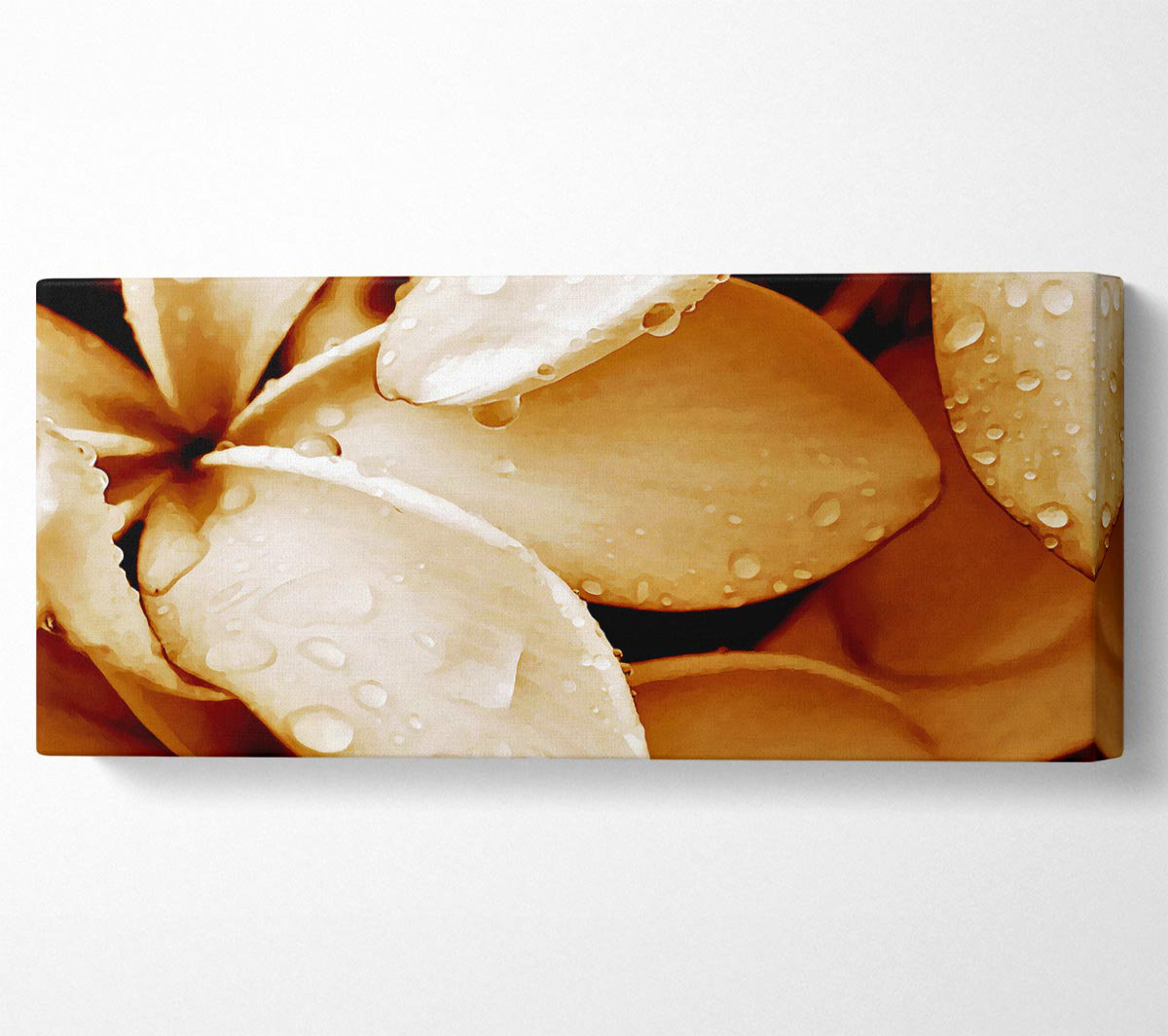 Ebern Designs Petal Dew - Wrapped Canvas Art Prints | Wayfair.co.uk