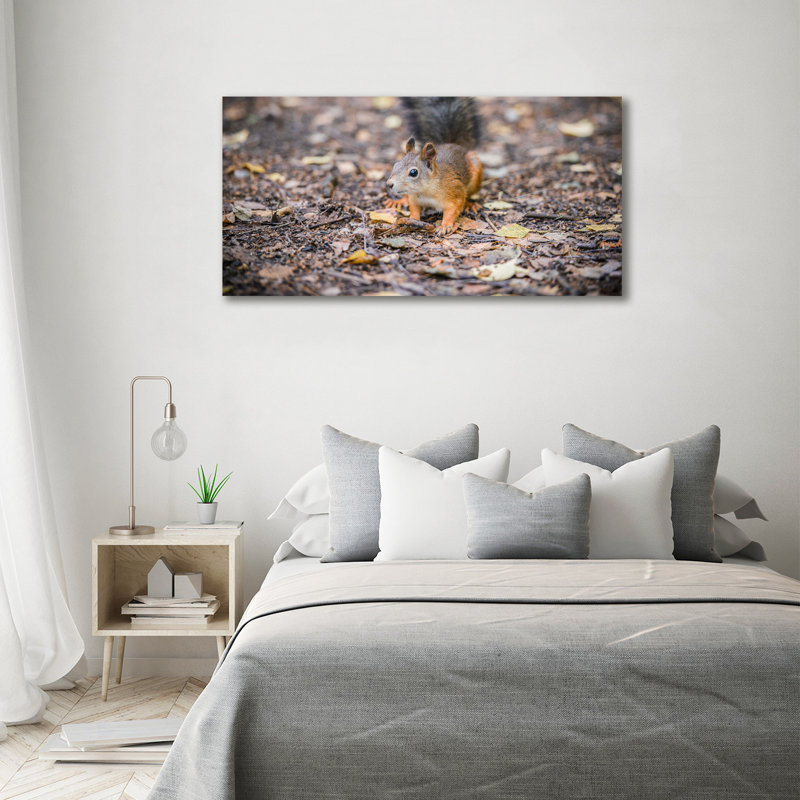 Squirrel - Wrapped Canvas Print
