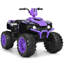 Quad pour enfants en voiture-58712655