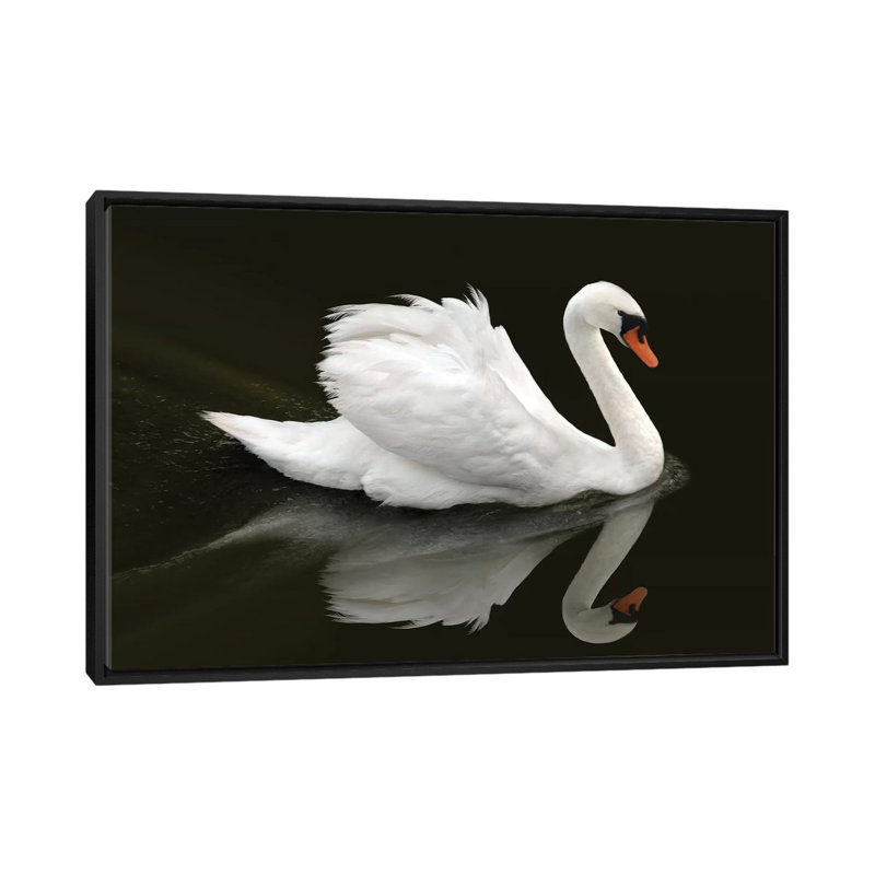 « Swan » par Ben Heine-reproduction de photo, Toile avec cadre noir, Pas de tapis, H 18 po x l 26 po x P 1,5 po