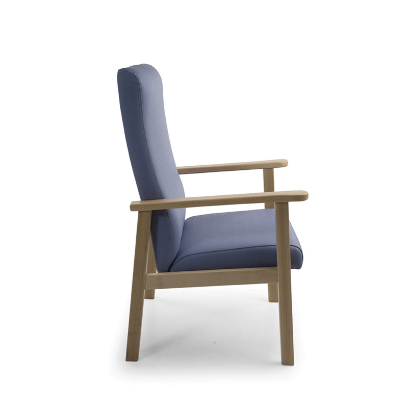 Anshul Upholstered Armchair