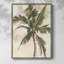 «Antique Watercolor Palm Study II», reproduction encadrée - bois massif-966213548