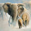 « running éléphants ii », impression sur toile-29479907-73649015-73649020