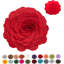  Housse de coussin en polyester-86924949-86924935-86924936
