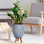 Multi-Directional Striped Egg Planter with Feet-590648295-590648294