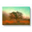Tree in Isolation in Abstract - Wrapped Canvas-55303747