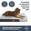 Silentnight Firm Support Crate Mattress Pet Bed-98240153-108771616