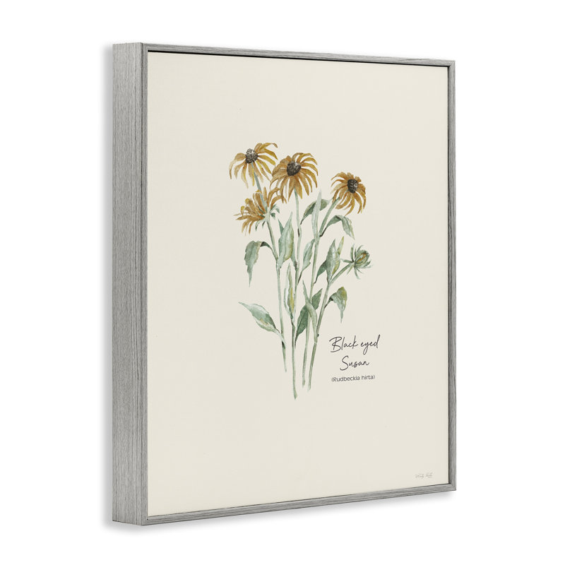 Art Susans aux yeux noirs par Cindy Jacobs bg-133, Estampe numérique Farmhouse, H 14 po x l 11 po