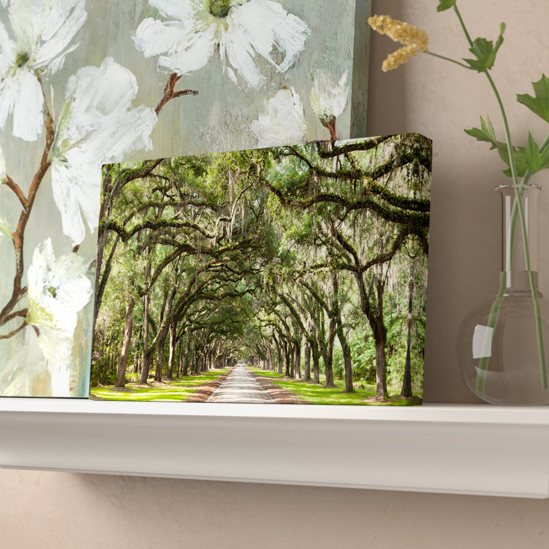 Live Oak Tunnel - Imprimé, H 16 po x l 32 po x P 1 po, Toile tendue