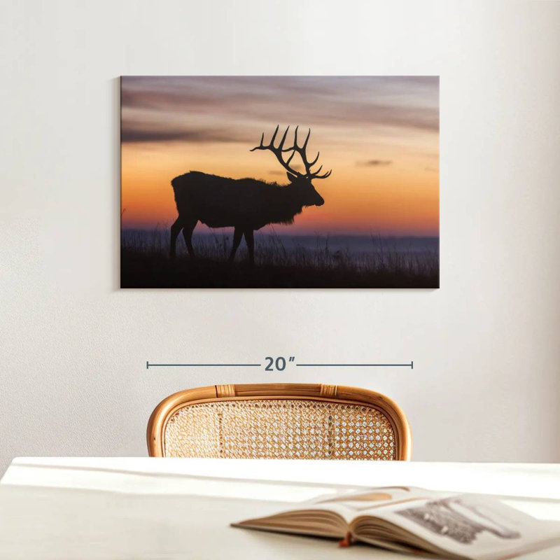 Crowle Elk At Sunrise