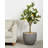 Handmade Vertical Garden-873889405-873889402