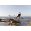 Ibiza Stacking Arm Chair-64808313