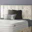 Chih Upholstered Headboard-1632139309-1632139303