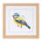 Framed Bird Print Under Glass