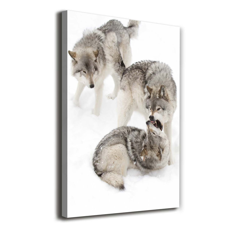 Gray Wolves - Wrapped Canvas Print