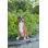 Animals Weather Resistant Water Resistant UV Resistant Polyresin Garden Statue