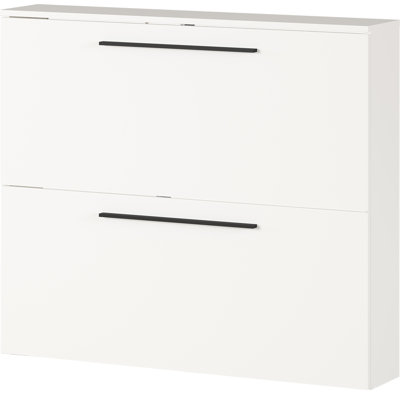 Wildomar Shoe Storage Cabinet