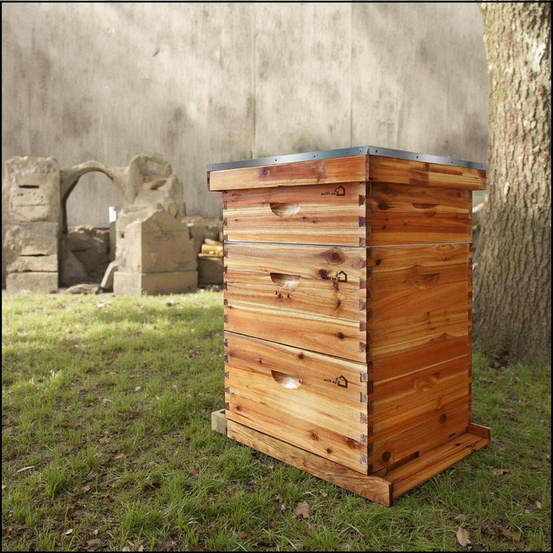 Beekeeping Beehive Accessory