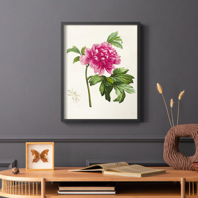«Pretty Botanicals I», reproduction encadrée - bois massif