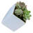 Earhart Ceramic Wall Planter-27330516