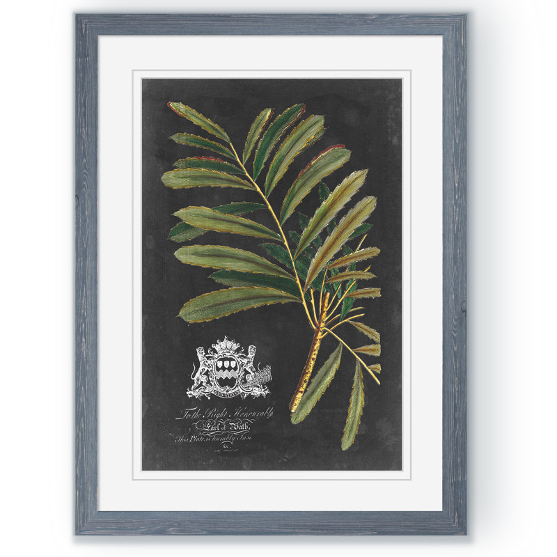 « royal feuillage ii » par paul cezanne-photo, reproduction d’art encadrée, H 30 po x l 22 po x P 1,25 po, Blanc