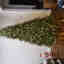 Customer photo 2 of 2