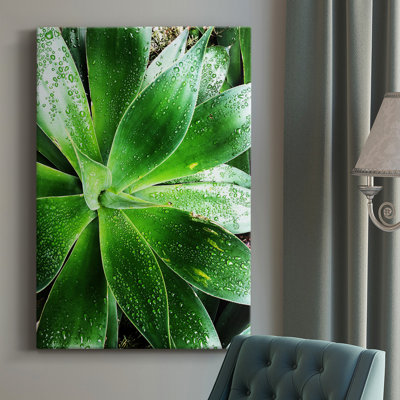 " Green Tropical Succulent V "