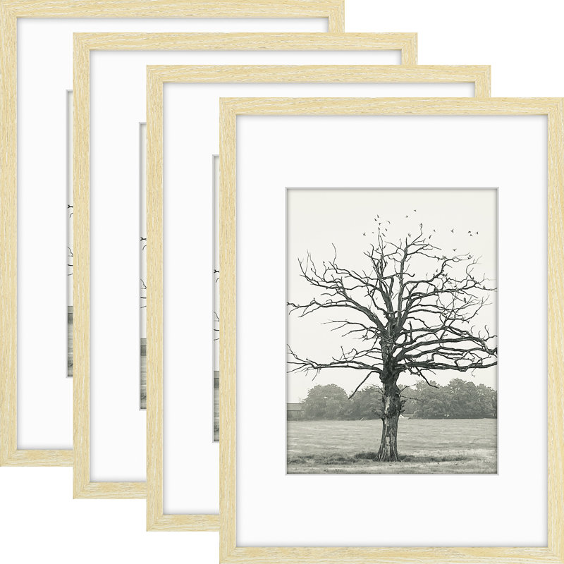 Ensemble de cadres photo avec plexiglas poli, L 12 po x H 16 po, Beige