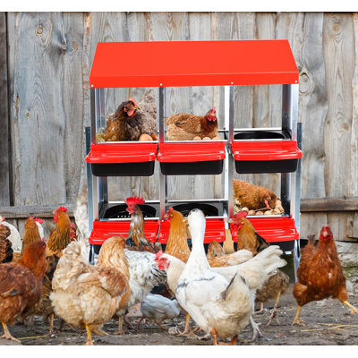 Boîtes de nidification pour poulets, bac à œufs en plastique