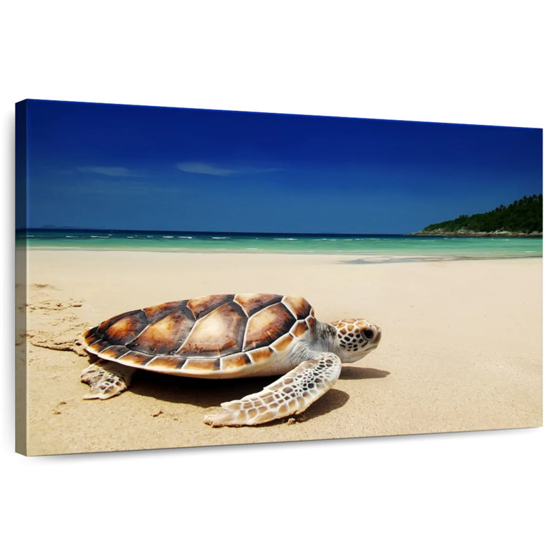 Brampt Turtle On Beach, 16" H x 24" W