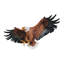 Sculpture murale Freedom's Pride American Eagle