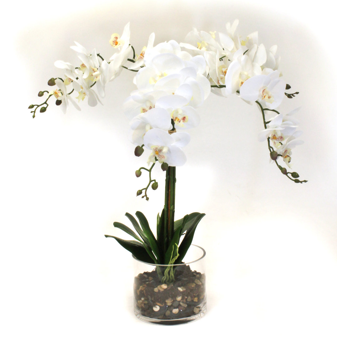 Orchids Floral Arrangement in Vase Dalmarko Designs Flower