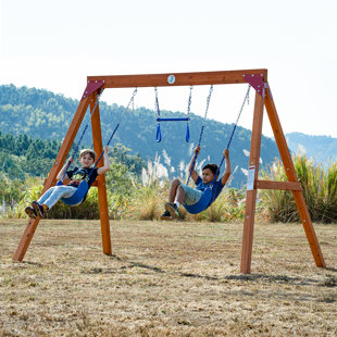 Ensemble de balançoire en bois de cèdre avec aire de jeu Dolphin et barre de trapèze et 2 balançoires à ceinture