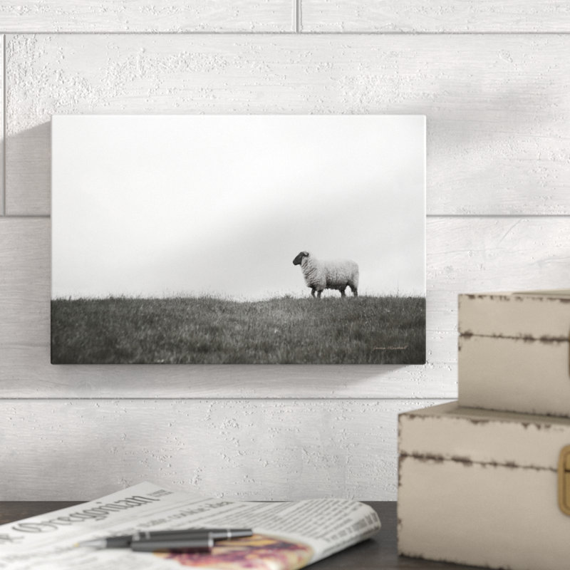 Islay Sheep II by Laura Marshall - Wrapped Canvas Print, 20cm H x 30cm W