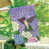 Oiseaux violets/verts/blancs