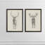 «Moose Study» par Antonyus Bunjamin (Abe), ensemble de 2 reproductions d'art sur toile-72455127-72461840-72461850