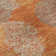 Premium Machine Washable Prisco Orange Rug