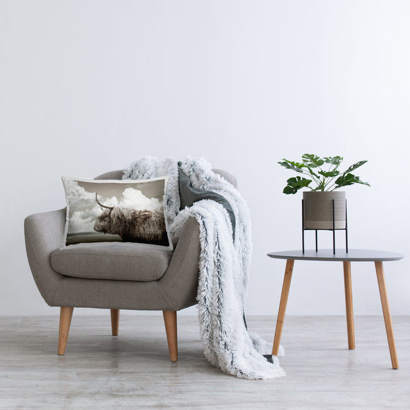Design de Coussin Longhorn