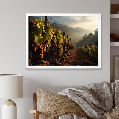 «Vineyard Misty Meadows Cellars I», reproduction sur toile