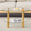 Table basse contemporaine en verre trempé à double couche Contemporary