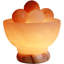 Lampe spa sel de l'Himalaya 10 lb