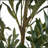 6' Artificial Olive Tree With Pot