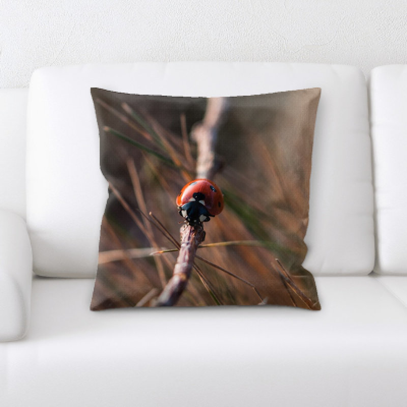 Coussin coccinelle
