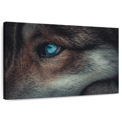 Brampt Blue Eyed Wolf