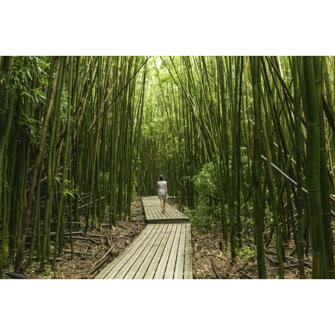 Wanderung durch den Bambuswald, Pipiwai Trail, Maui von Bobbushphoto - Ohne Rahmen auf Leinwand drucken