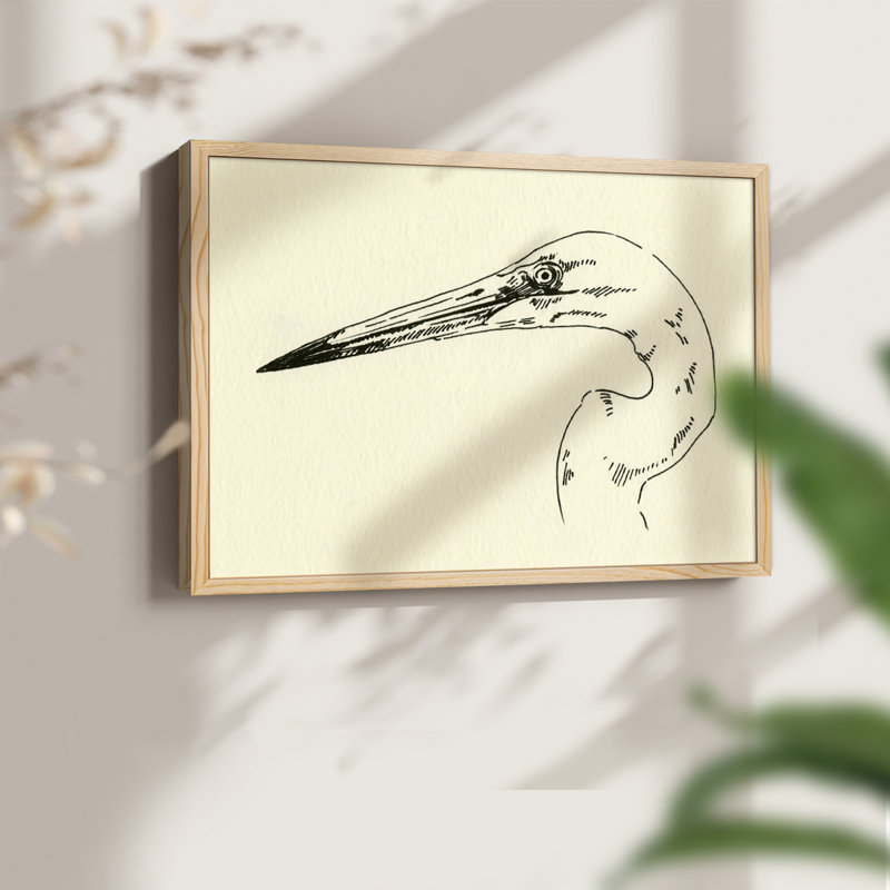 Tête de héron II - reproduction encadrée - réarmable, H 8 po x l 10 po, Naturel