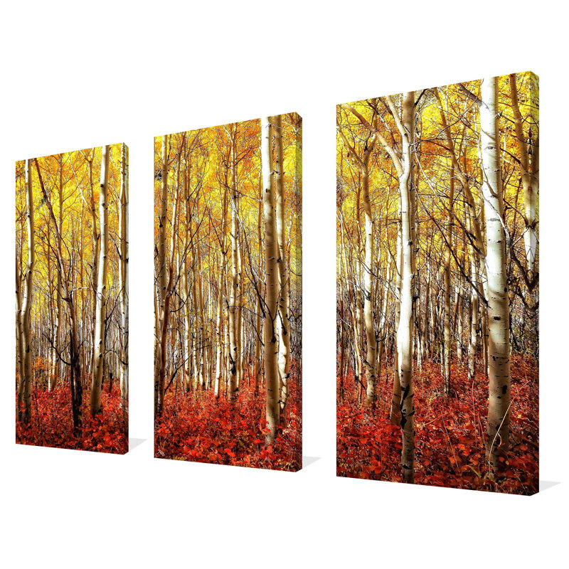 "Birch Trees", ensemble de 3 impressions sur toile